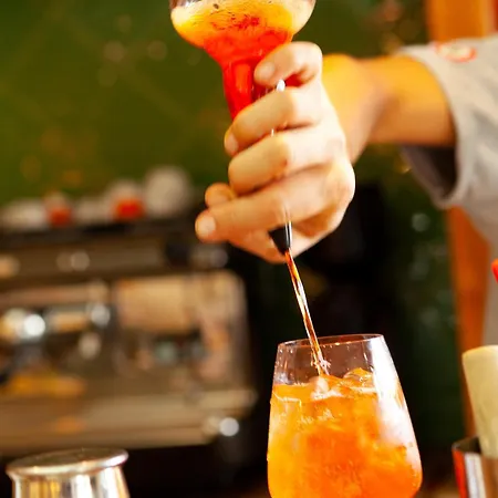 乐莎佳雷酒店 酒店 维拉西米乌斯
