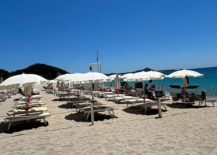 Ih Le Zagare Вилласимиус